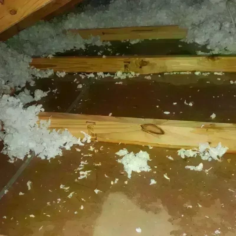 Attic Water Damage in Whispering Pines, NC