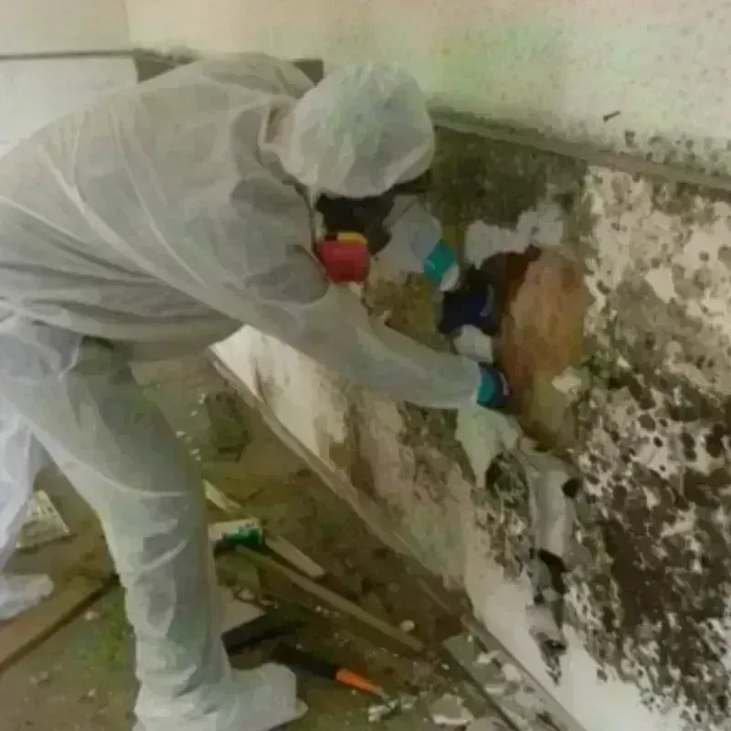 Mold Remediation and Removal in Whispering Pines, NC